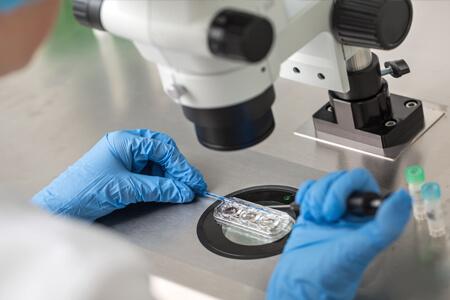 Picture of a laboratory technician looking through a microscope in an IVF fertility center.  The person is wearing blue gloves, a blue head covering and a blue smock.